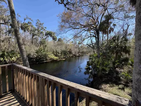 View/Area - 1714 NE River Rd, Steinhatchee, FL 32359 photo 1 of 1