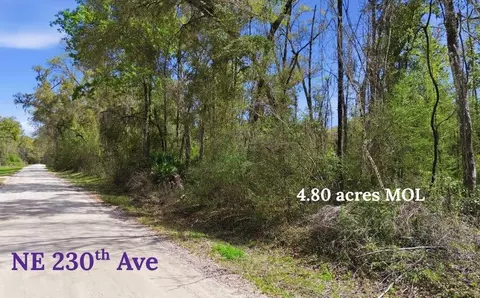 tbd NE 230th Ave, Other Florida, FL 32680