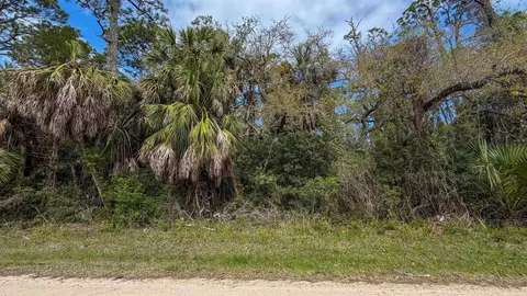 681 E Pine Ave, St George Islan, FL 32328 photo 13