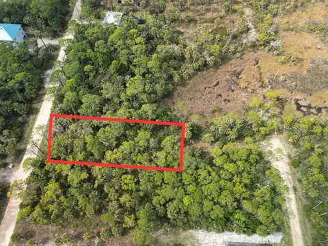 681 E Pine Ave, St George Islan, FL 32328 photo 5