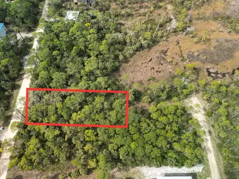 681 E Pine Ave, St George Islan, FL 32328 photo 3