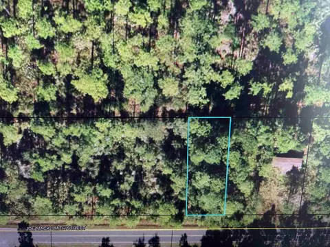 nn Joe Mack Smith Street #1, Panacea, FL 32346