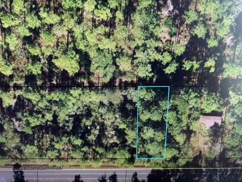 nn Joe Mack Smith Street #1, Panacea, FL 32346