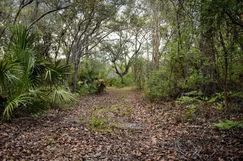 245 NEast Peppermint Trl, Pinetta, FL 32350