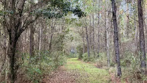 2909 N Shellman Bluff Rd #2909 SHELLMAN BLUFF RD N, Other Georgia, GA 31331 photo 38