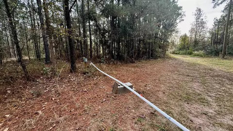 2909 N Shellman Bluff Rd #2909 SHELLMAN BLUFF RD N, Other Georgia, GA 31331 photo 40