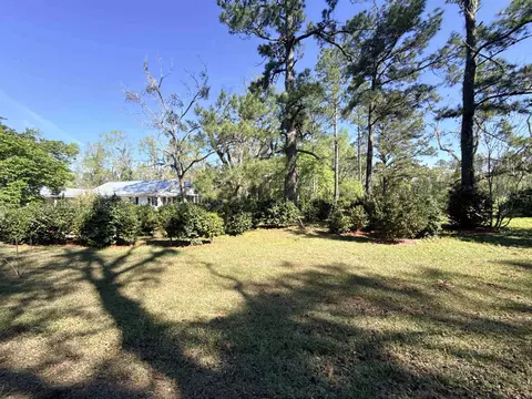 167 Phelps Rd, Lamont, FL 32336 photo 29