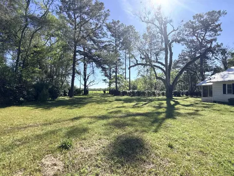 167 Phelps Rd, Lamont, FL 32336 photo 30