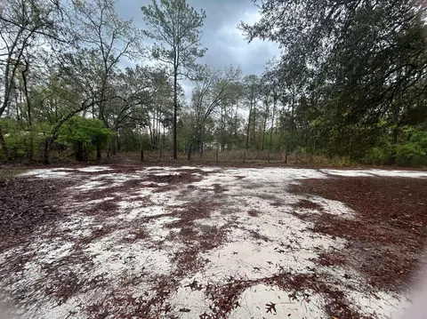 9211 Dorothy Rd, Tallahassee, FL 32305