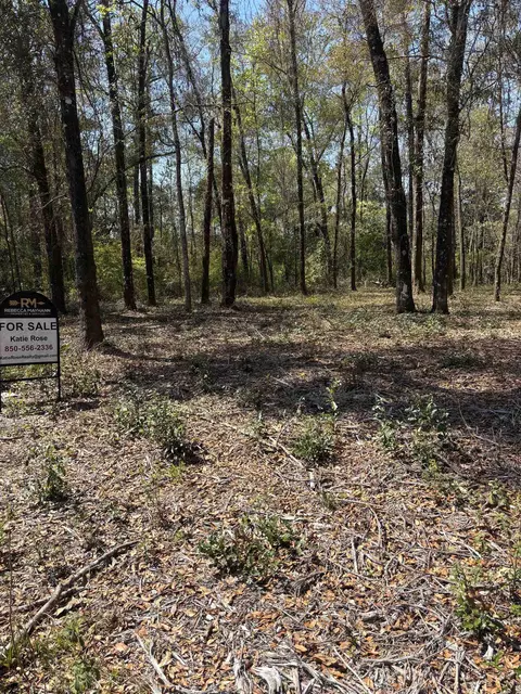 Nn Fonigan Road, Sopchoppy, FL 32358