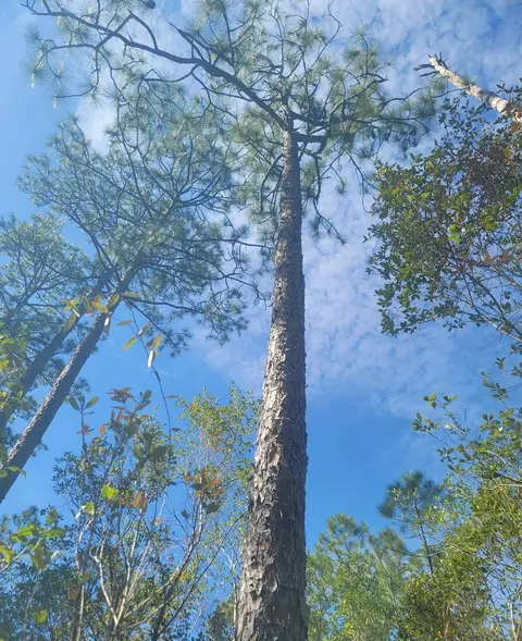 0 Smith Creek Rd, Tallahassee, FL 32310