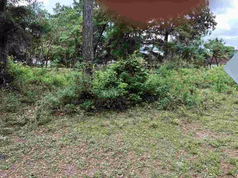 nn Hickory Avenue #4, Crawfordville, FL 32327