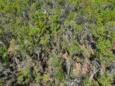 Nnn NE Champion Loop, Lee, FL 32059 photo 5