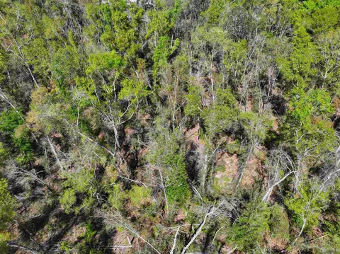 Nnn NE Champion Loop, Lee, FL 32059 photo 2