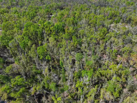 Nnn NE Champion Loop, Lee, FL 32059 photo 8