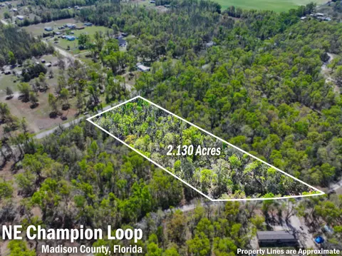 Nnn NE Champion Loop, Lee, FL 32059