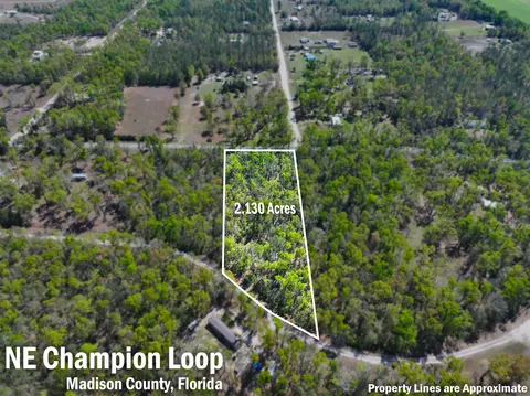 Nnn NE Champion Loop, Lee, FL 32059 photo 14