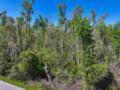 Nnn NE Champion Loop, Lee, FL 32059 photo 9