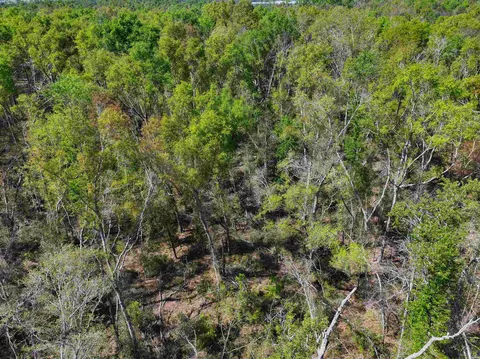 Nnn NE Champion Loop, Lee, FL 32059 photo 4