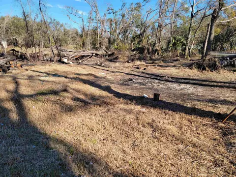 164 Leon Ward Rd, Perry, FL 32347 photo 5