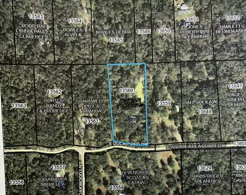 455 E Duckpond Dr, Greenville, FL 32344