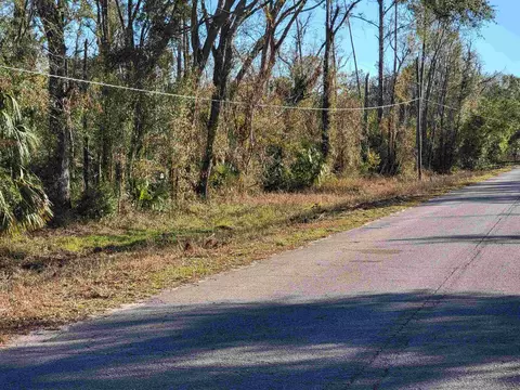 00 Pharo Morgan Rd, Perry, FL 32347 photo 6