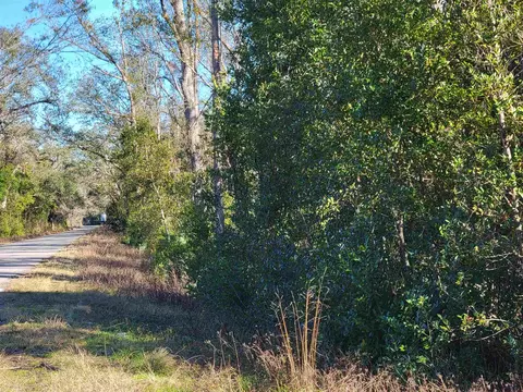 00 Pharo Morgan Rd, Perry, FL 32347 photo 3