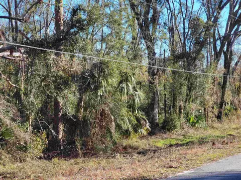 00 Pharo Morgan Rd, Perry, FL 32347 photo 5