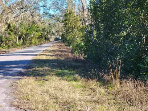 00 Pharo Morgan Rd, Perry, FL 32347 photo 2