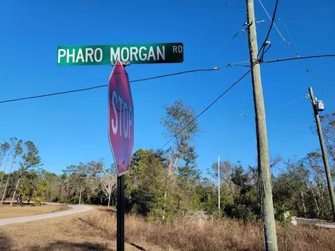 00 Pharo Morgan Rd, Perry, FL 32347 photo 7