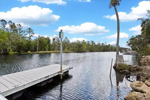 View/Area - 1226 NE Rivers Bend Way, Steinhatchee, FL 32359 photo 17 of 20