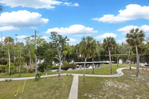 View/Area - 1226 NE Rivers Bend Way, Steinhatchee, FL 32359 photo 16 of 20