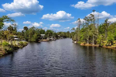 View/Area - 1226 NE Rivers Bend Way, Steinhatchee, FL 32359 photo 19 of 20