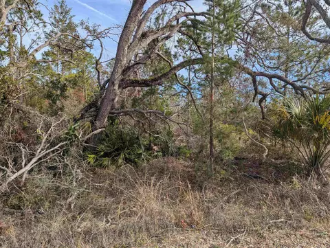 00 E Royal Oak Dr, Perry, FL 32348 photo 3