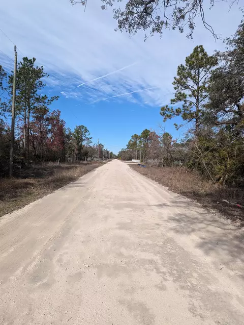 00 E Royal Oak Dr, Perry, FL 32348 photo 2
