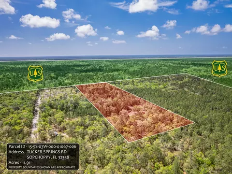 Nnn Tucker Springs Road, Sopchoppy, FL 32358