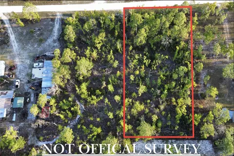 lot204 Post Oak Rd, Perry, FL 32348 photo 9