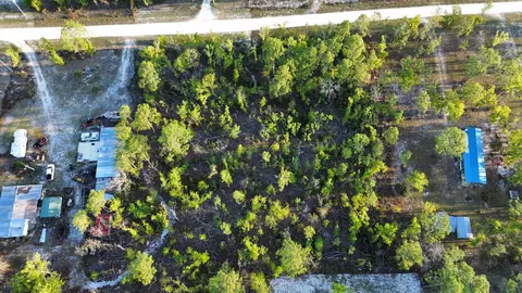 lot204 Post Oak Rd, Perry, FL 32348 photo 21