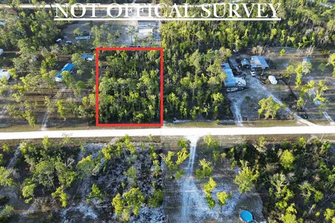 lot204 Post Oak Rd, Perry, FL 32348 photo 30