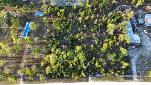 lot204 Post Oak Rd, Perry, FL 32348 photo 16