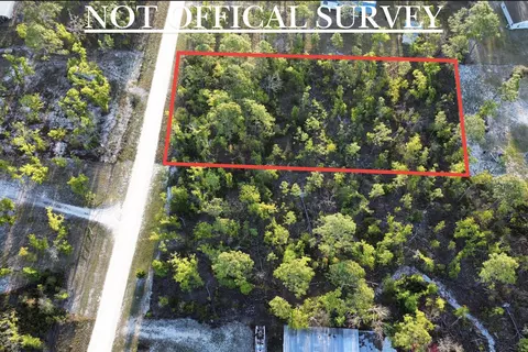 lot204 Post Oak Rd, Perry, FL 32348 photo 4