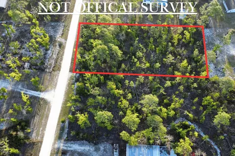 lot204 Post Oak Rd, Perry, FL 32348 photo 8