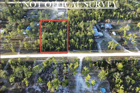 lot204 Post Oak Rd, Perry, FL 32348 photo 6