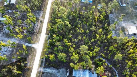lot204 Post Oak Rd, Perry, FL 32348 photo 19