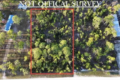 lot204 Post Oak Rd, Perry, FL 32348 photo 5