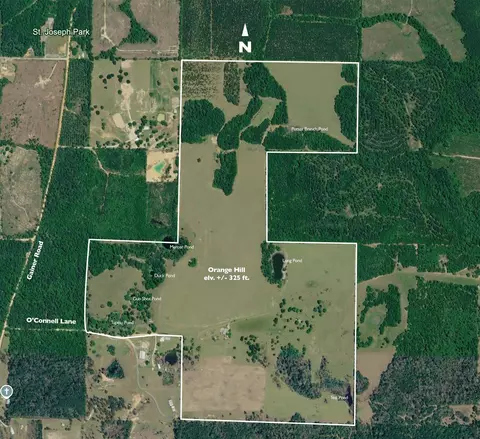 1328 Oconnell Ln, Chipley, FL 32428 photo 5