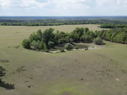 1328 Oconnell Ln, Chipley, FL 32428 photo 12