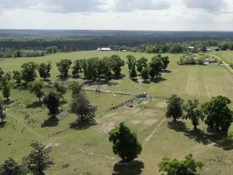 1328 Oconnell Ln, Chipley, FL 32428 photo 8