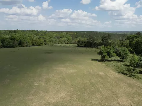 1328 Oconnell Ln, Chipley, FL 32428 photo 24