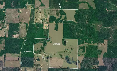 1328 Oconnell Ln, Chipley, FL 32428 photo 17